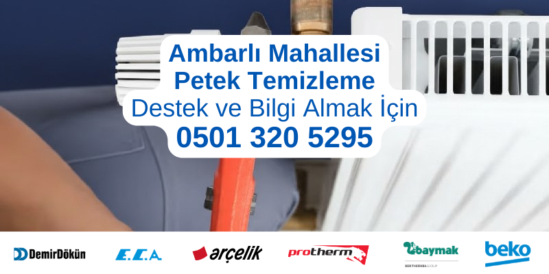 Avcılar Ambarlı Mahallesi petek temizleme hizmeti - Profesyonel teknisyen petek temizleme yaparken