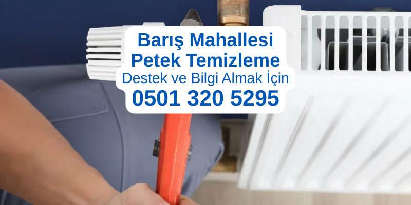 Beylikdüzü Barış Mahallesi petek temizleme hizmeti - Profesyonel teknisyen petek temizleme yaparken