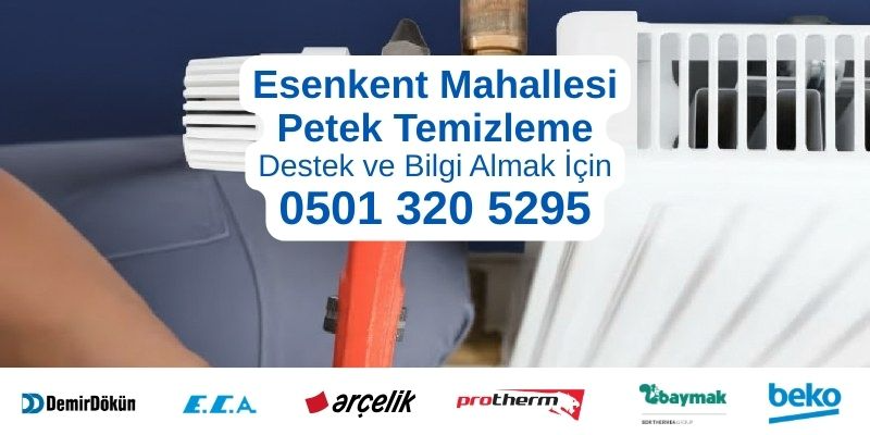 Esenyurt Esenkent Mahallesi petek temizleme hizmeti - Profesyonel teknisyen petek temizleme yaparken